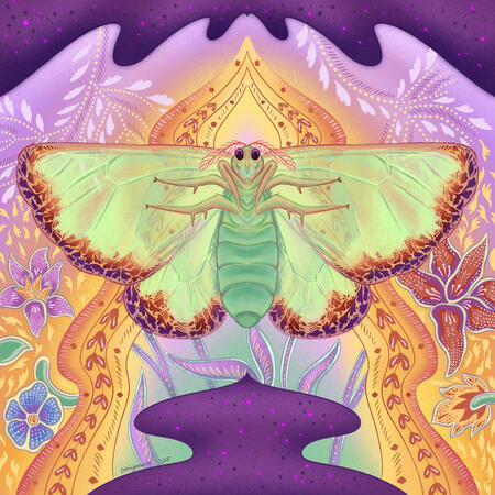 A hand-drawn digital illustration featuring the frontal view of a sleeping Carriola moth, made by the artist Dhiyanah Hassan. The artwork, along with the moth is drawn in stylized batik style with bold and vibrant colors.