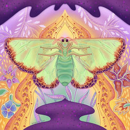 Imago Dreams (Carriola Moth)