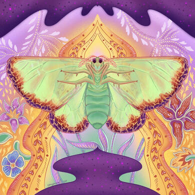 Imago Dreams (Carriola Moth)