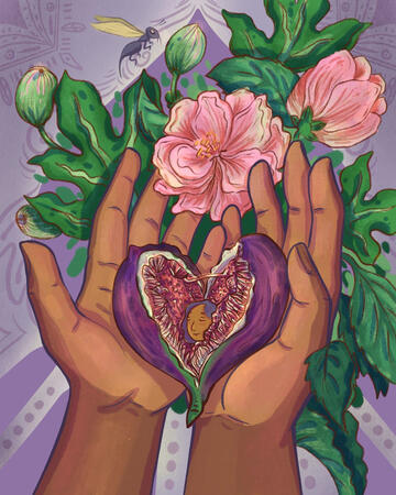 Hand-drawn digital illustration by the artist Dhiyanah Hassan showing a pair of brown hands cupping a fig fruit that has been split in half. Inside the fig is the face of a sleeping brown person with medium length hair. Their eyes are closed and there's a