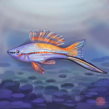 A hand-drawn digital painting of a swordtail fish in side profile. The bottom of its tail is a long, blade-looking fin. It is mostly in powder blue color with purple and turquoise dynamic shading to denote its scales, with orange gradients around parts of