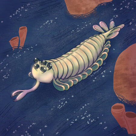 Illustrated interpretation of an Opabinia, an extinct invertebrate that is said to have a soft body, five eyes, a trunk-like proboscis, and fan-like tail.