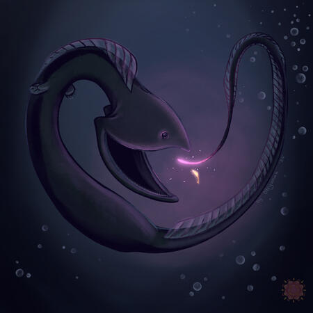 A hand-drawn digital painting by the artist Dhiyanah Hassan of a pelican eel, in a curved position, with its bioluminscent lure at the end of its tail aglow in pink or light red. A small crustacean is drawn to the light. The eel begins to open its mouth. R